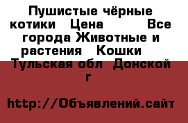 Пушистые чёрные котики › Цена ­ 100 - Все города Животные и растения » Кошки   . Тульская обл.,Донской г.